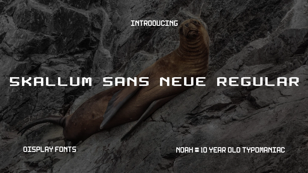 5Kallum Sans Neue Regular Font Sample Image 1