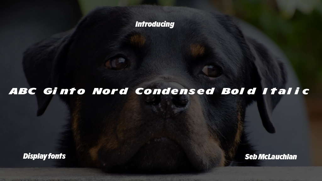 ABC Ginto Nord Condensed Unlicensed Trial Bold Italic Font Sample Image 1