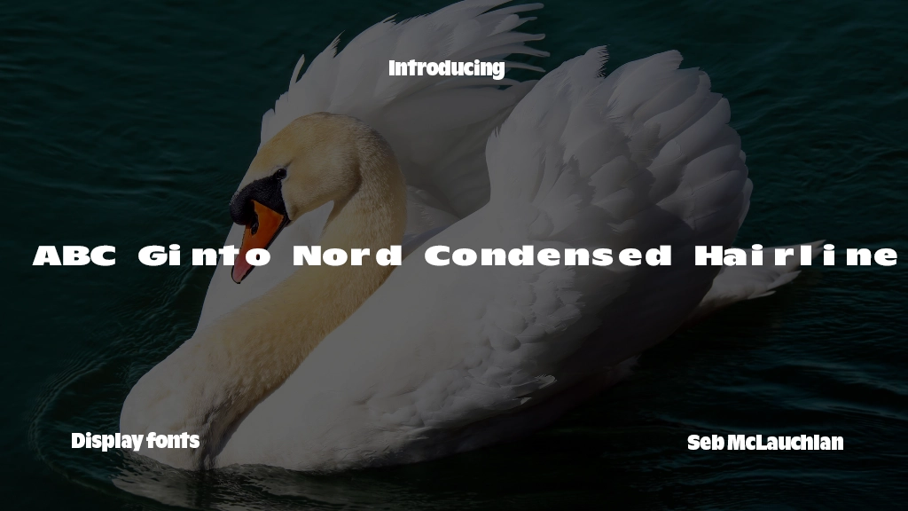 ABC Ginto Nord Condensed Unlicensed Trial Hairline Font Sample Image 1