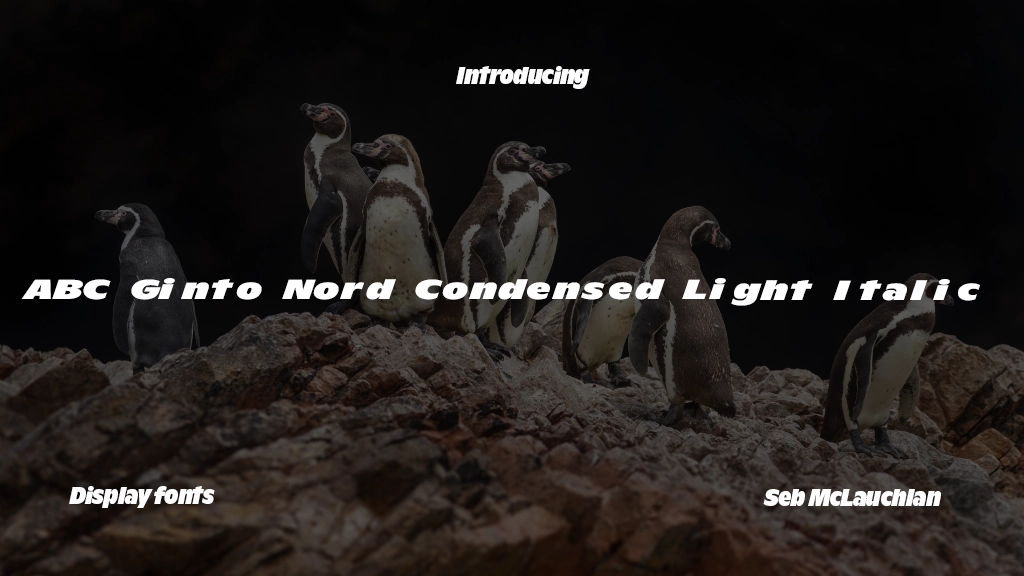 ABC Ginto Nord Condensed Unlicensed Trial Light Italic Font Sample Image 1