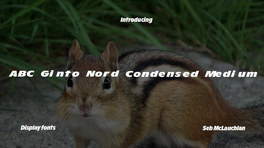 ABC Ginto Nord Condensed Unlicensed Trial Medium Font Sample Image 1