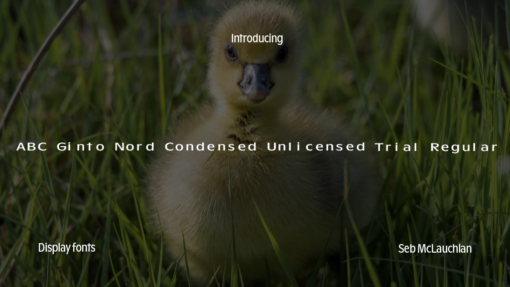 ABC Ginto Nord Condensed Unlicensed Trial Regular Font Sample Image 1