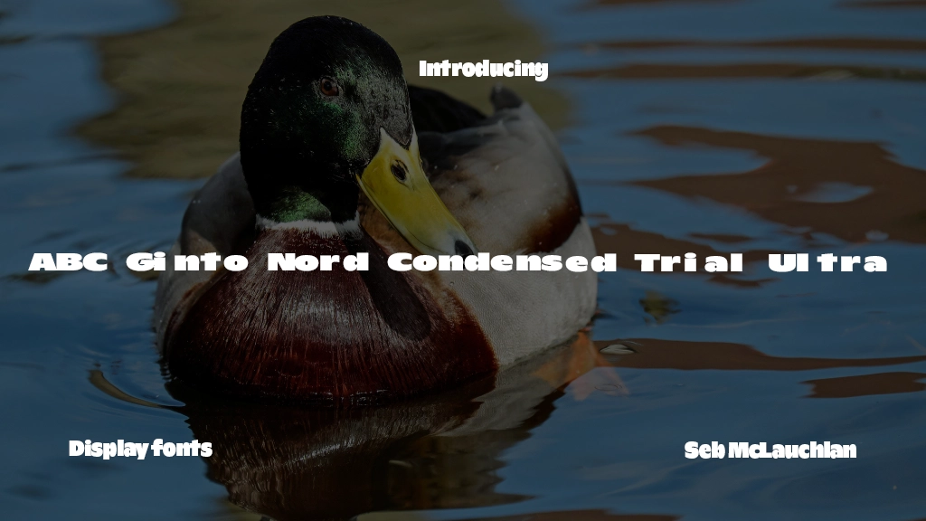 ABC Ginto Nord Condensed Unlicensed Trial Ultra Font Sample Image 1