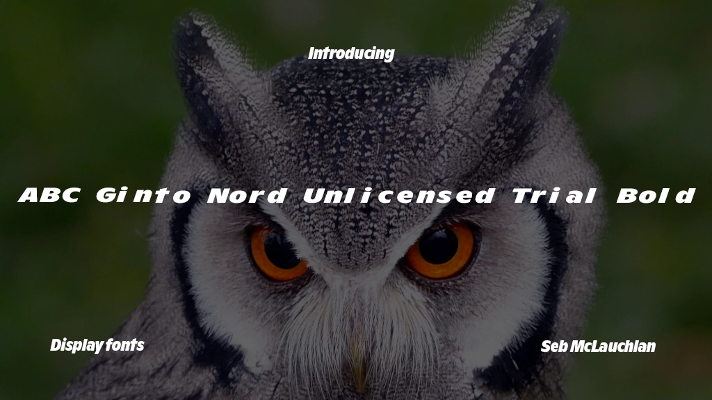 ABC Ginto Nord Unlicensed Trial Bold Italic Font Sample Image 1