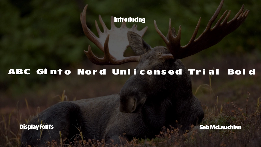 ABC Ginto Nord Unlicensed Trial Bold Font Sample Image 1