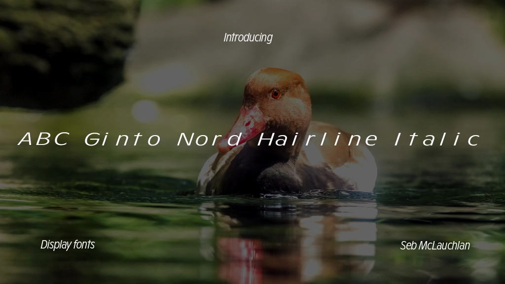 ABC Ginto Nord Unlicensed Trial Hairline Italic Font Sample Image 1