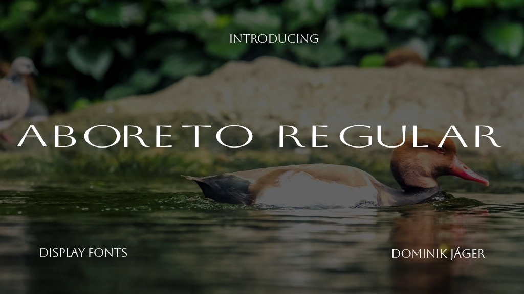 Aboreto Regular Font Sample Image 1