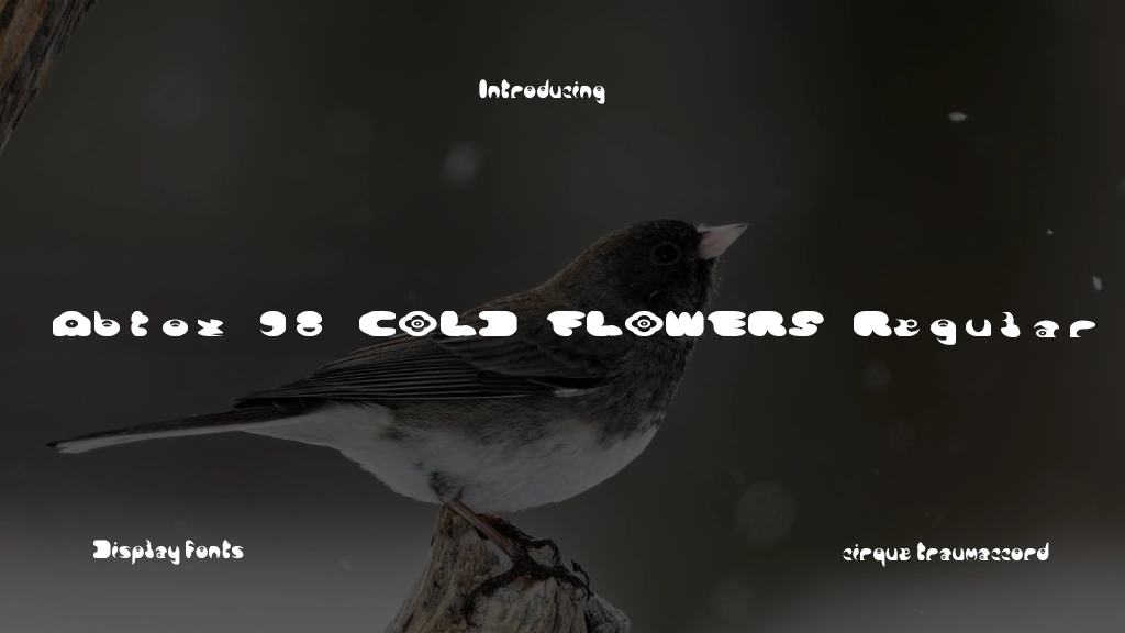 Abtox 98 COLD FLOWERS Regular Font Sample Image 1