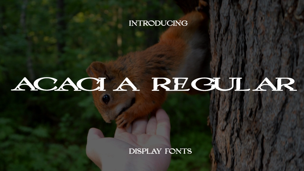 Acacia Regular Font Sample Image 1