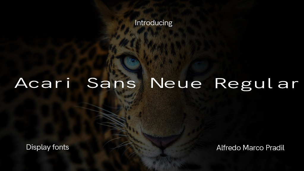 Acari Sans Neue Regular Font Sample Image 1