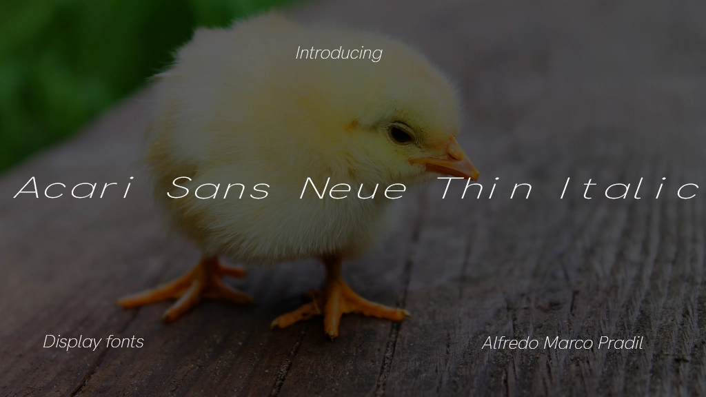 Acari Sans Neue Thin Italic Font Sample Image 1