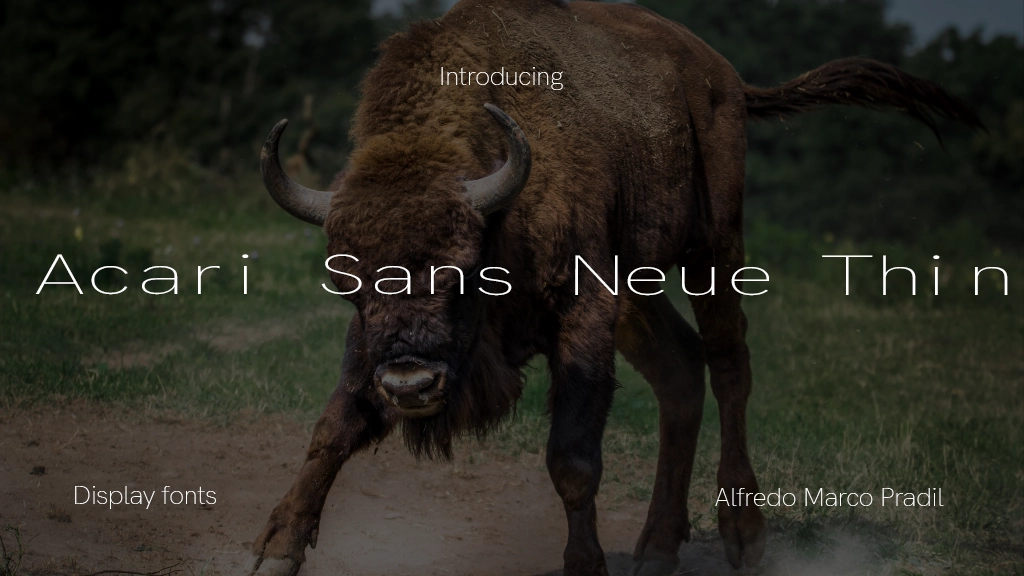 Acari Sans Neue Thin Font Sample Image 1