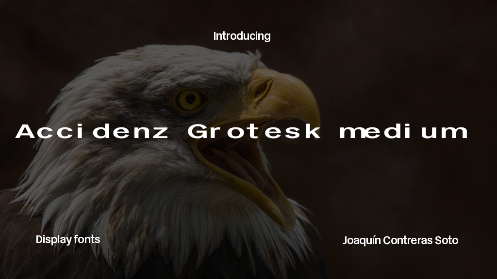 Accidenz Grotesk medium Font Sample Image 1