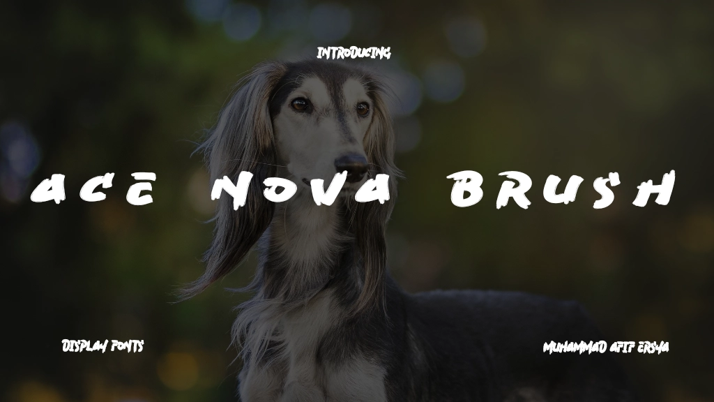 Ace Nova Brush Font Sample Image 1