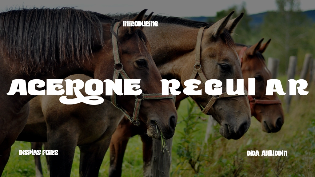 Acerone Regular Font Sample Image 1