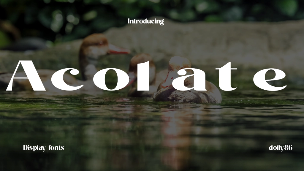 Acolate Font Sample Image 1