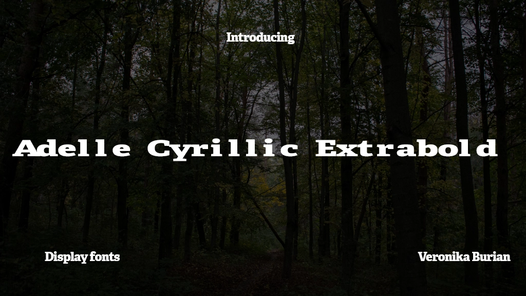 Adelle Cyrillic Extrabold Font Sample Image 1