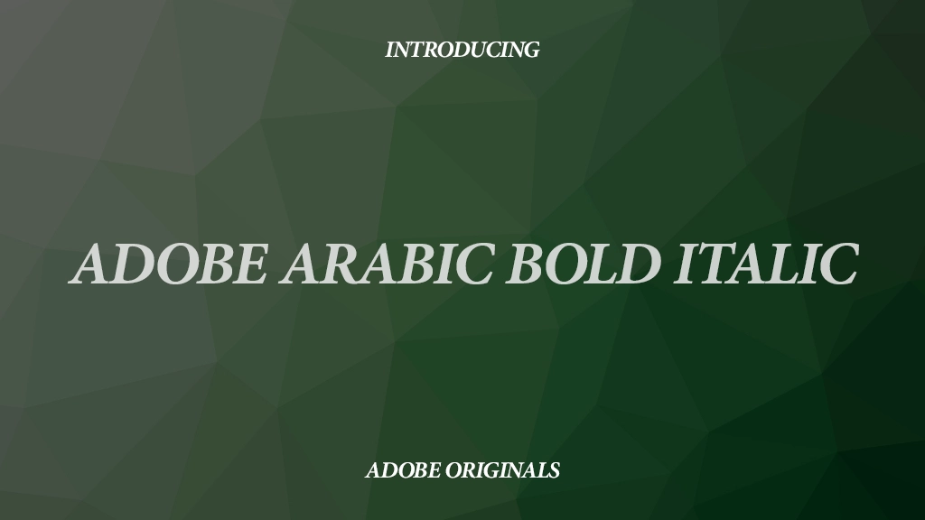 Adobe Arabic Bold Italic 字体样本图像  1