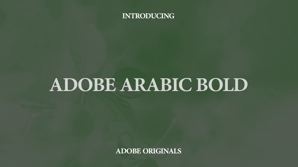 Adobe Arabic Bold 字体样本图像  1