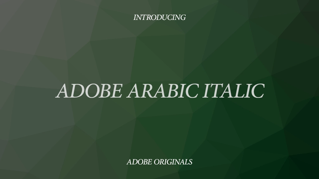 Adobe Arabic Italic 字体样本图像  1