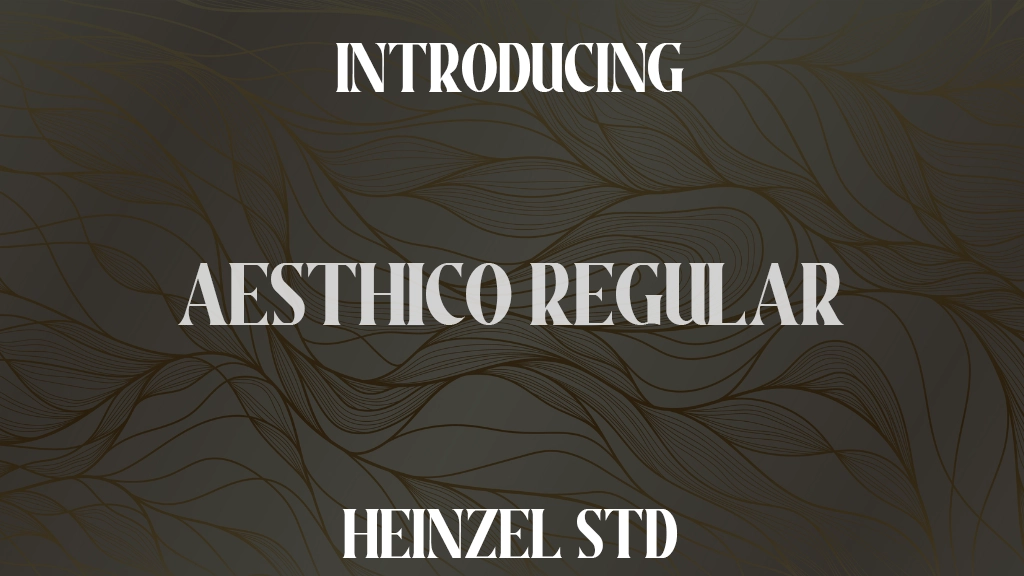 Aesthico Regular Font Sample Images  1