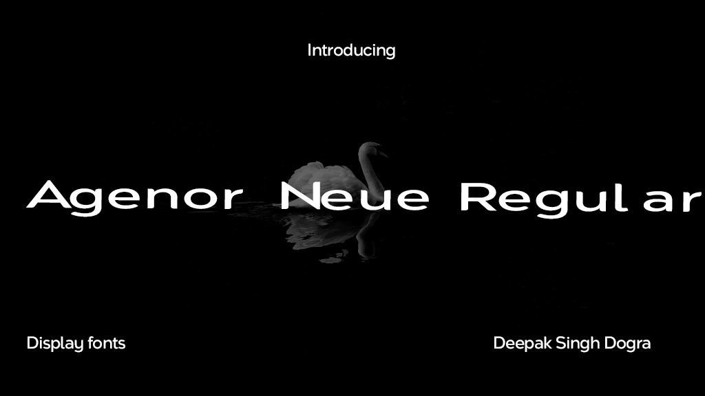 Agenor Neue Regular Font Sample Image 1