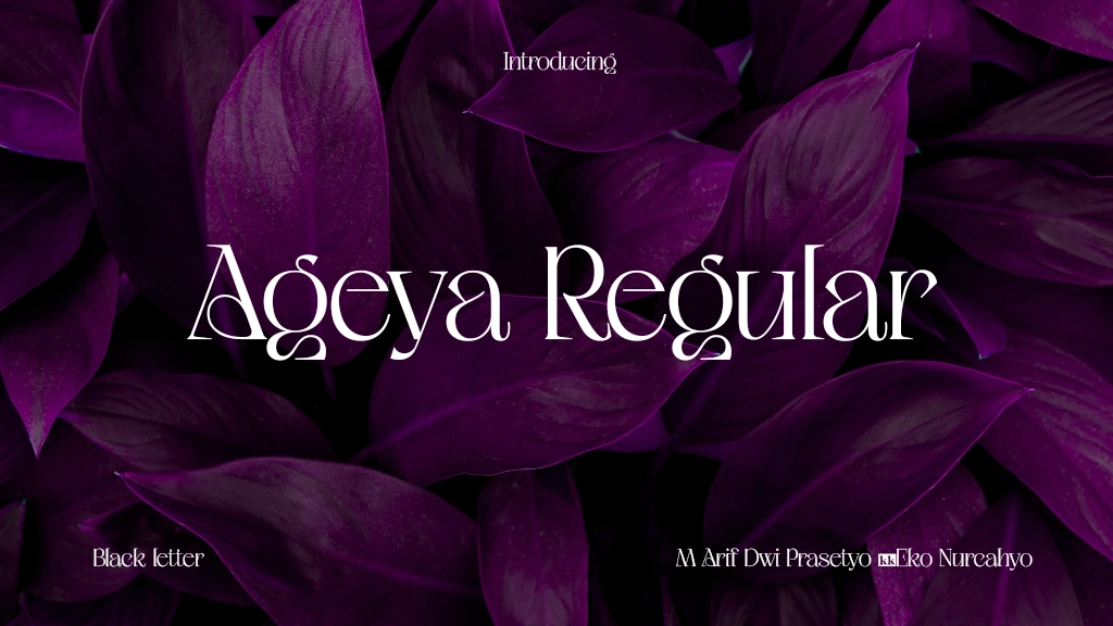 Ageya Regular Font Sample Image 1