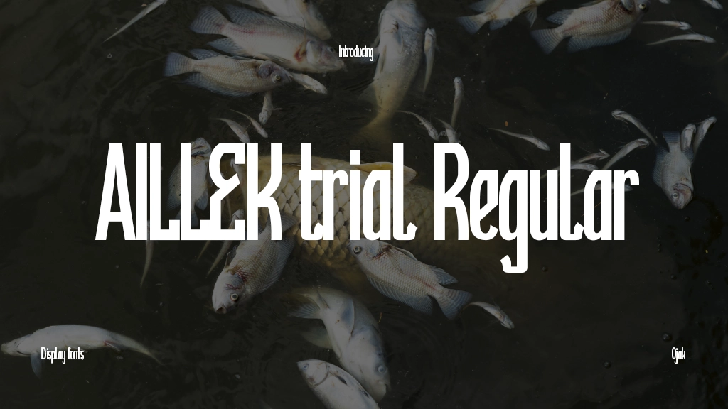 AILLEK trial Regular Font Sample Image 1