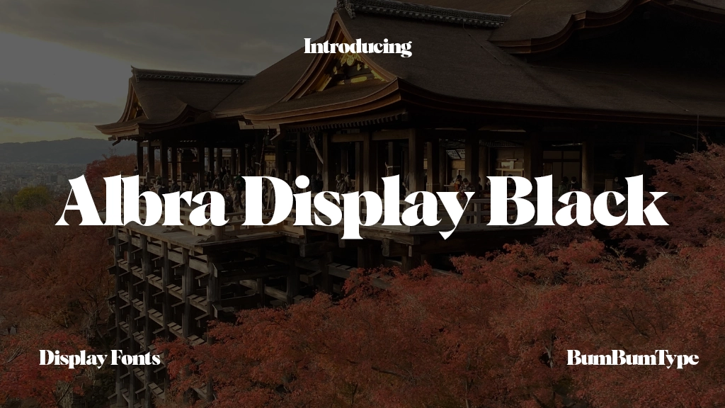 Albra Display TRIAL Black TRIAL Font Sample Image 1