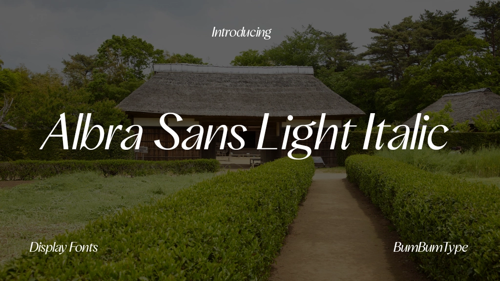 Albra Sans TRIAL Light Italic TRIAL Font Sample Image 1