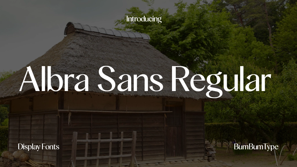 Albra Sans TRIAL Regular TRIAL Font Sample Image 1