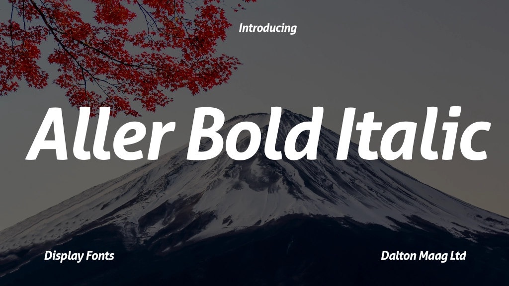 Aller Bold Italic Images d’exemples de polices  1