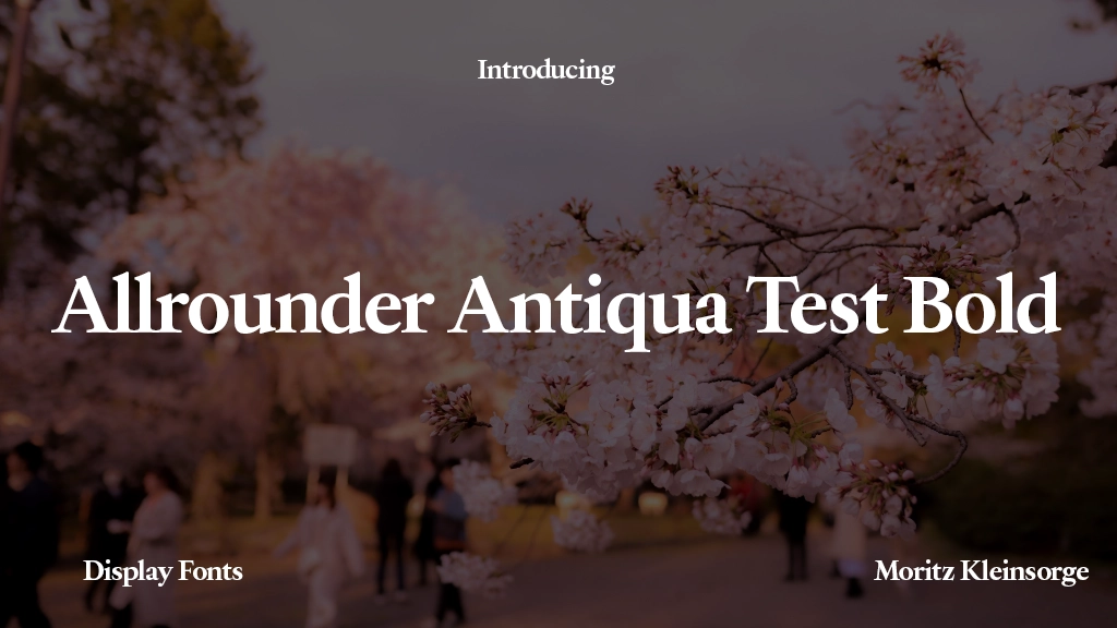 Allrounder Antiqua Test Bold Font Sample Image 1