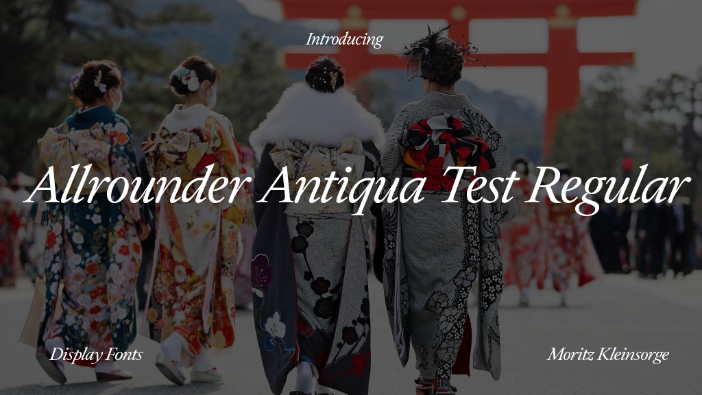 Allrounder Antiqua Test Regular Italic Font Sample Image 1