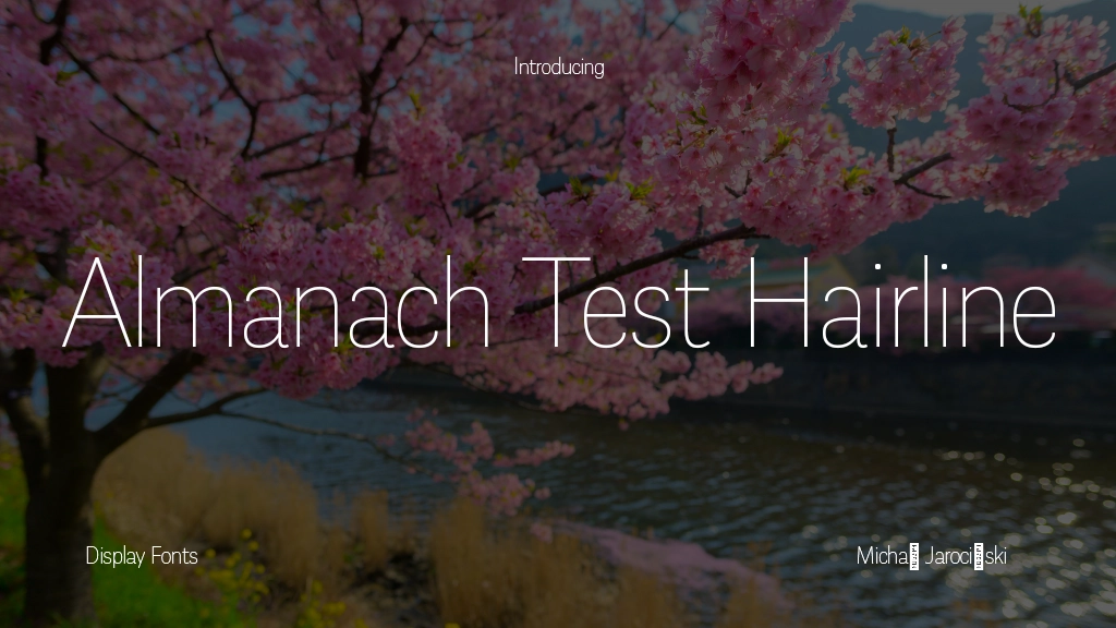 Almanach Test Hairline Font Sample Image 1