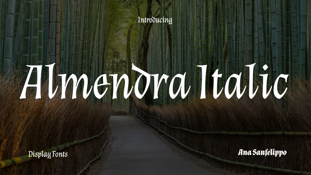 Almendra Italic Font Sample Image 1