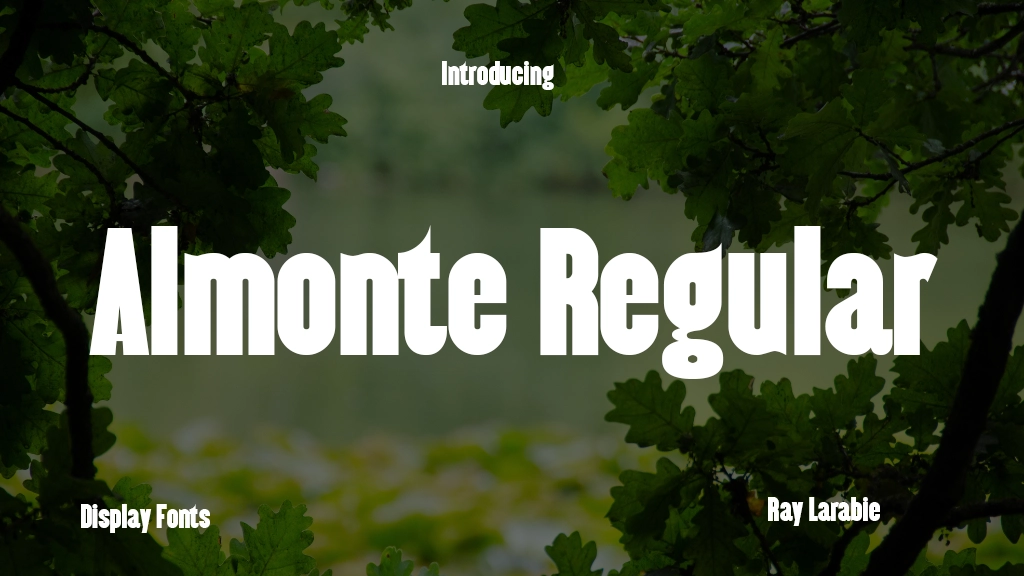 Almonte Regular Font Sample Image 1