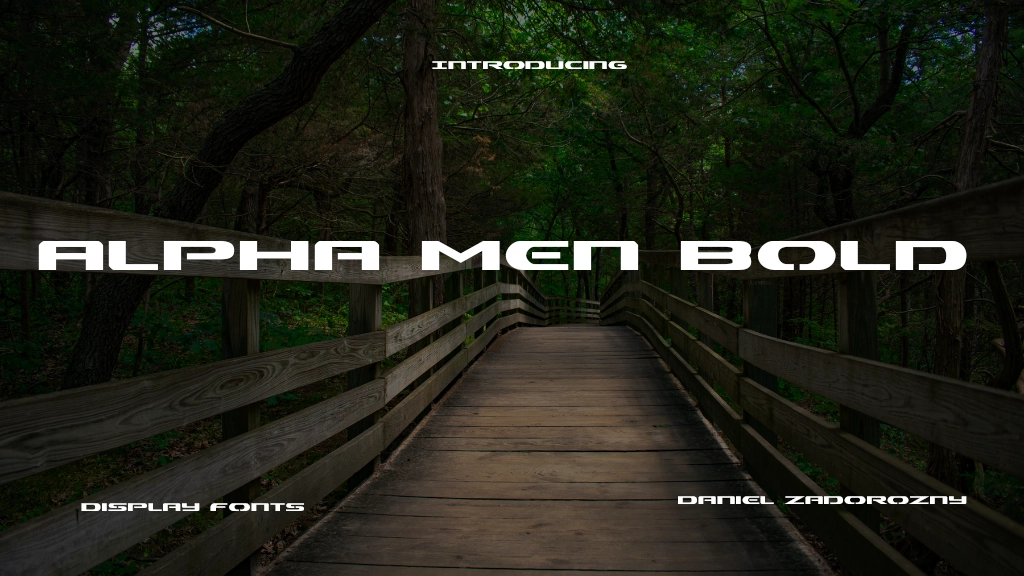 Alpha Men Bold Font Sample Image 1