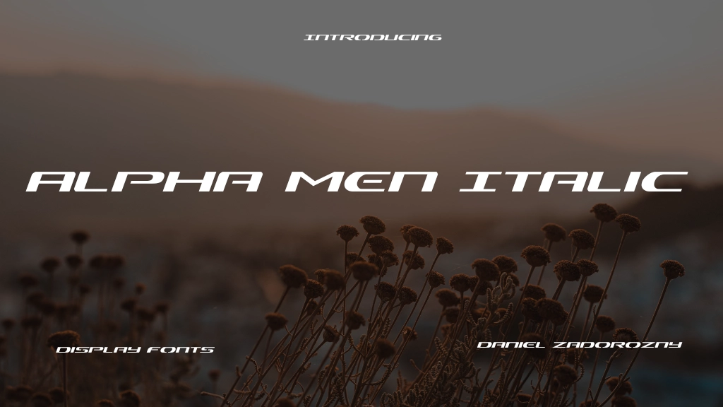 Alpha Men Italic Font Sample Image 1