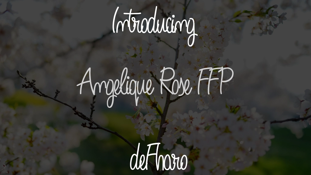 Angelique Rose FFP Font Sample Images  1