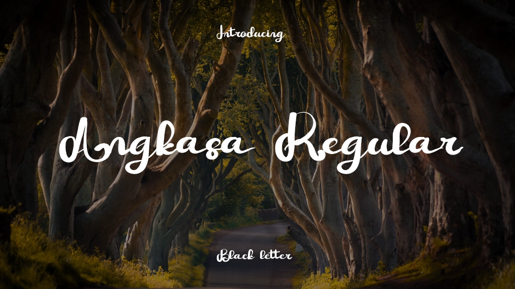 Angkasa Regular Font Sample Image 1