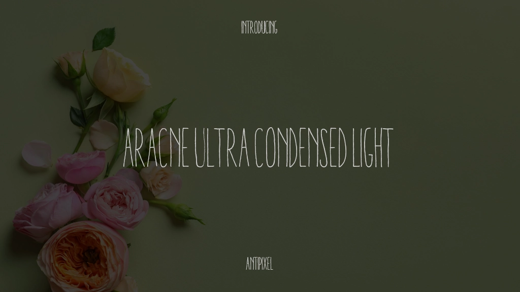 ARACNE ULTRA CONDENSED LIGHT 글꼴 샘플 이미지  1