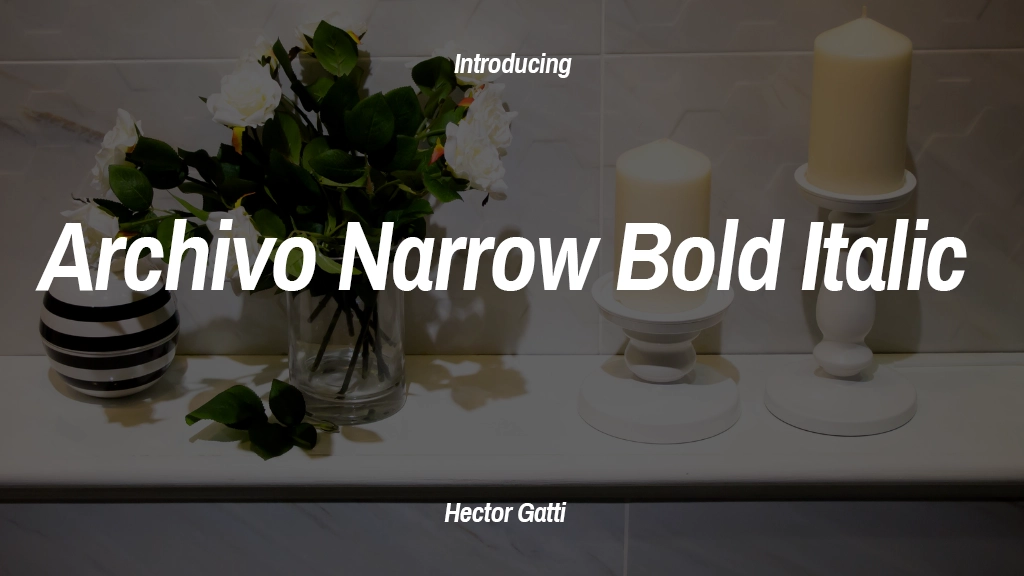 Archivo Narrow Bold Italic Font Sample Image 1