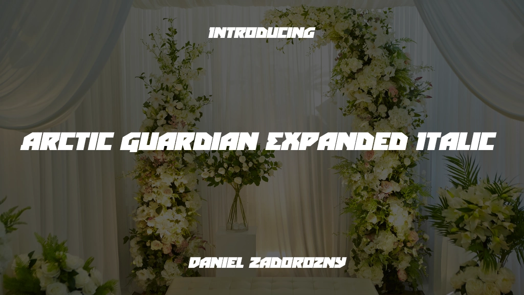 Arctic Guardian Expanded Italic Expanded Italic Font Sample Image 1