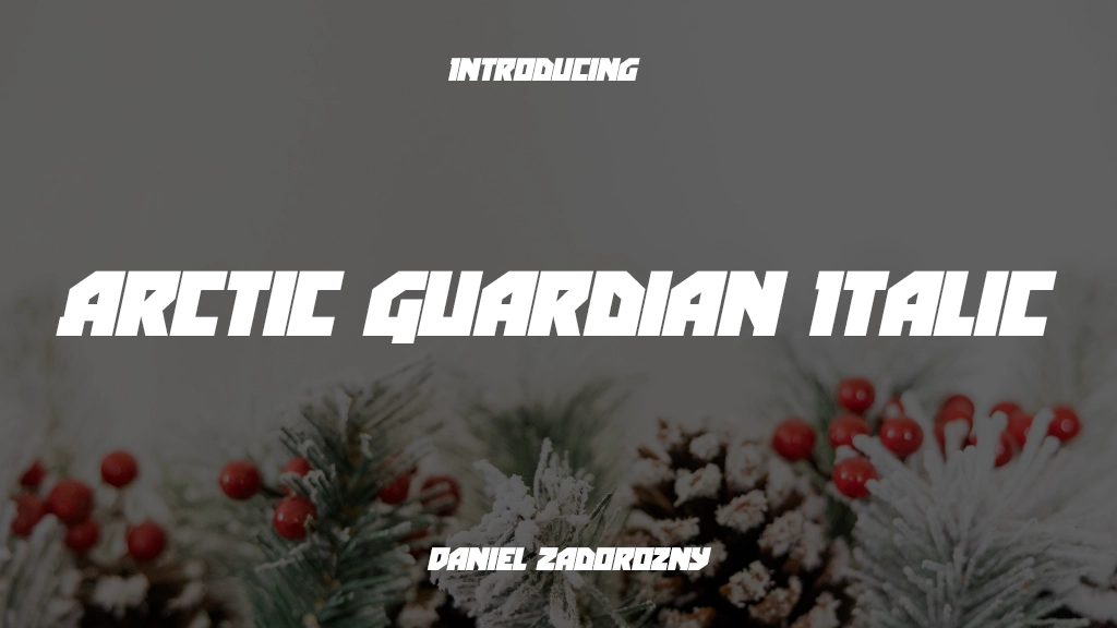 Arctic Guardian Italic Italic Font Sample Image 1