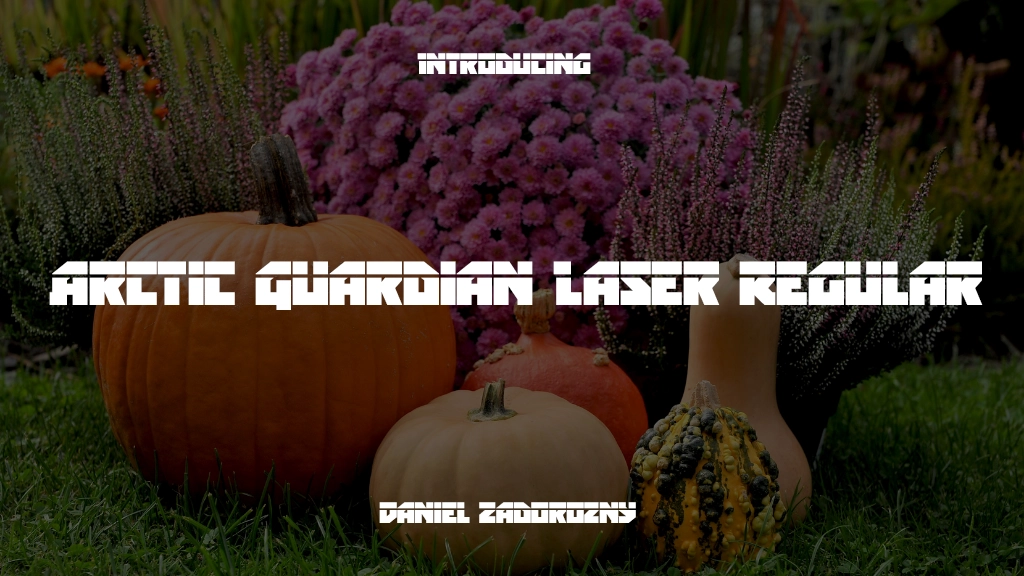 Arctic Guardian Laser Regular Font Sample Image 1