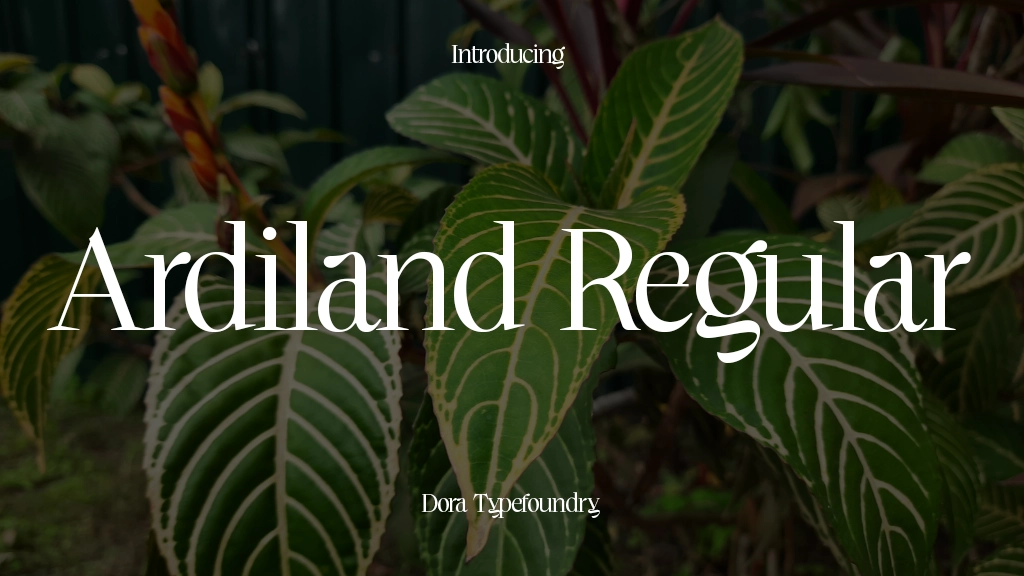 Ardiland Regular Font Sample Image 1