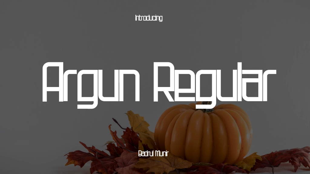 Argun Regular Font Sample Image 1