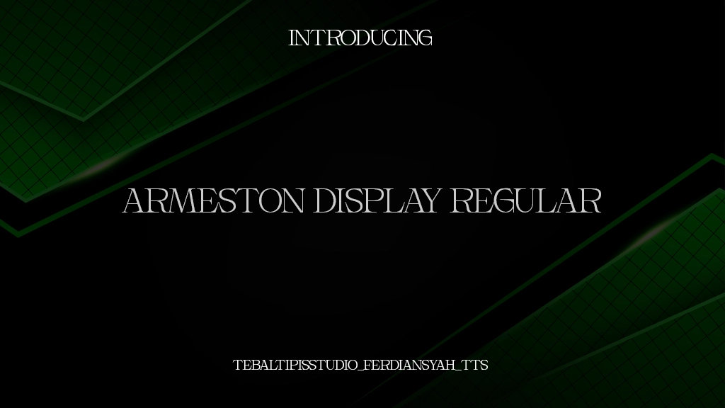 Armeston Display Regular Font Sample Images  1