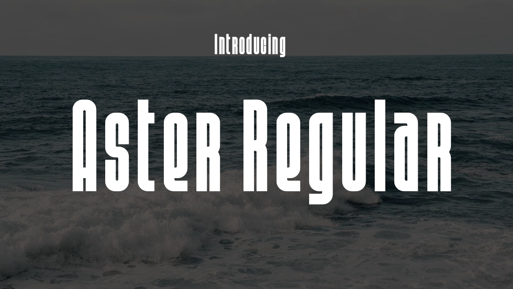 Aster Regular Font Sample Image 1